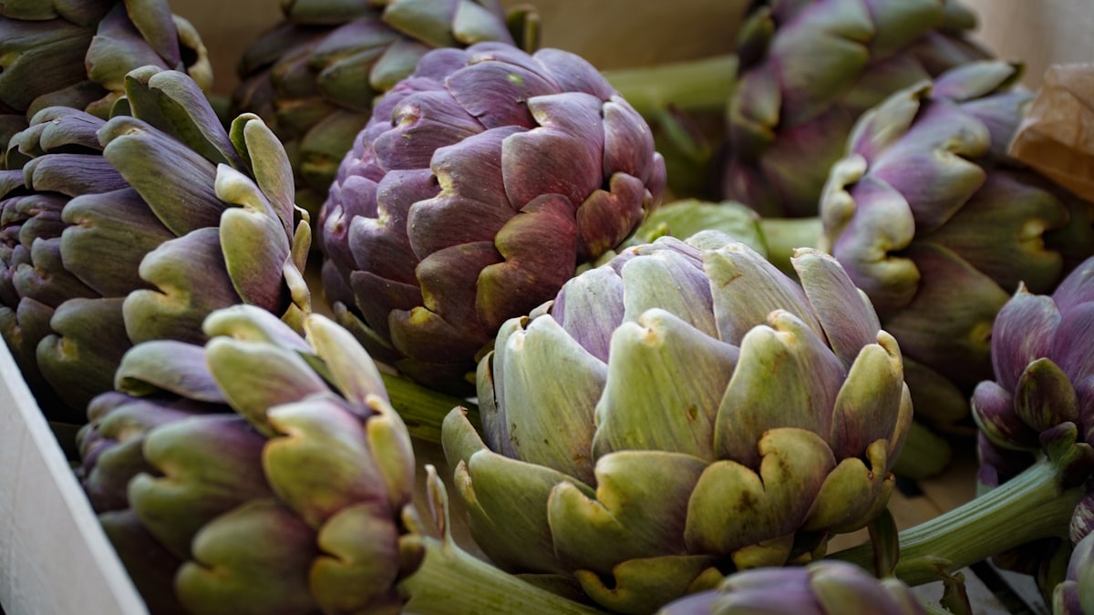 Mediterranean cuisine ingredients and preparation
